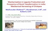 IFPRI- Mechanization in Legume Production and Prospectus of Rural Transformation in India- Mechanical Harvesting of Chickpea, Madhusudan Bhattarai