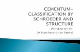 Cementum - By Dr Harshavardhan Patwal