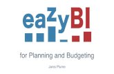 eazyBI for Planning and Budgeting