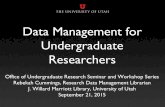 Data Management for Undergraduate Researchers