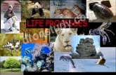 Life Processes(1)