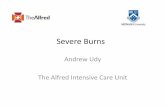 Severe Burns by Andrew Udy
