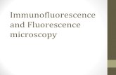 Immunofluorescence and fluoroscence microscopy