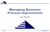 Managing Business Process Improvement