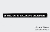 A Growth Hacking alapjai