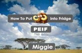 How to put elephant into fridge