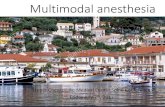 Lecture multimodal anesthesia 2017 for spinal surgery
