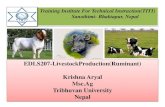 Ruminant Production( common vices)