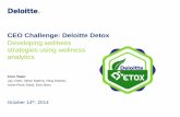 CEO Challenge - Wellness Analytics - v6