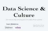 Data Science and Culture
