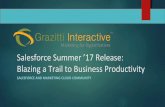 Salesforce Summer ’17 Release: Blazing a Trail to Business Productivity |