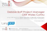 Embedding OER and OEP across the Higher Education Sector in Wales (LangOER Open Education in Minority Languages)