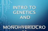 Gamified Intro to Genetics