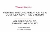 Viewing The Organization As A  Complex Adaptive System-An Approach  To  Enhancing Agility
