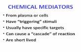 basic chemical mediator