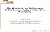 SOA, Virtualization and Grid Computing