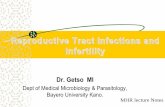 RTIs and infertility