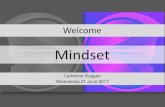 Fixed and growth mindsets 17