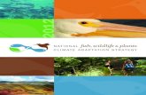 National Climate Adaptation Strategy for Fish, Wildlife and Plants