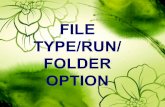 FILE TYPE/RUN/FOLDER OPTION