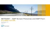 SAP TechEd 2017 Fiori and SAP Screen Personas NET 52541