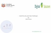 Cybersecurity & Data Challenges