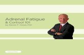 Adrenal Fatigue - Cushing's Help and Supportcushings-help.com/downloads/adrenal.pdf · told her that there was a natural alternative treatment for her ... adrenal glands removed can