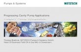 Pumps & Systems Progressing Cavity Pump · PDF filePumps & Systems Progressing Cavity Pump Applications ... Typical performance curve of ... no piping spool available Lots of space