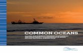 Common Ocean - Global sustainable fisheries management · PDF fileGlobal sustainable fisheries manaGement and biodiversity conservation in areas beyond national Jurisdiction common