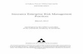 Insurance Enterprise Risk Management · PDF fileInsurance Enterprise Risk Management Practices . March 2013 . Developed by the ERM Committee of the American Academy of Actuaries .