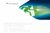 EMERGENCy LIGhtING - Normalux 2016 (ing-es… · Emergency lighting NoRMALUx Alumbrado de emergencia 3 ... Focos orientables ... Impact hammer Martillo de impacto