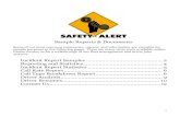 Sample Reports & Documents Incident Report Samplessafetyalert.com/documents/Report-Samples.pdf · Sample Reports & Documents Some of our most common summaries, reports, and information
