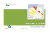 SHALE GAS IN POLAND - International Energy Agency · PDF fileSHALE GAS IN POLAND Piotr Grzegorz Wozniak Chief National Geologist of Poland 7-8-9 March 2012