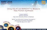 Using SILAC and BONCAT to Measure New Protein Synthesisconf.abrf.org/sites/default/files/images/2-102-430p-630pneubert... · Using SILAC and BONCAT to Measure New Protein Synthesis