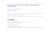 Practical Power Cable Ampacity Analysis - CED · PDF filePractical Power Cable Ampacity Analysis . Introduction . ... which uses Neher-McGrath method for the calculation of the conductor