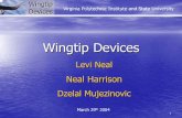Wingtip Devices - Virginia TechWingtip Devices 4 Learjet Model 28/29 ... Wingtip Devices 21 ... H. Future Aicraft Tab Books, Inc. Pennsylvania, ...mason/Mason_f/WingtipDevicesS04.pdf ·