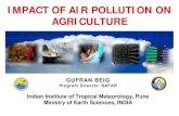 IMPACT OF AIR POLLUTION ON AGRICULTURE - · PDF fileimpact of air pollution on agriculture. ... effect on soil organism soil acidification leaching of nutrients air pollutants and