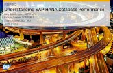 RDP302 Understanding SAP HANA Database Performancesapvod.edgesuite.net/TechEd/TechEd_Vegas2013/pdfs/RDP302.pdf · Lars Breddemann, SCE EMEA Richard Bremer, SCE EMEA Charu Agarwal,