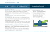 SAP HANA for Enterprise Projects & Big Data - Worksoft, Inc. · PDF file Automation Ensures Success SAP HANA for Enterprise Projects ® & Big Data: The Need for Quality Big Data is