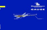 Gauges GAUGE -  · PDF file17 Flat limit plug gauge ... Go and NoGo ring gauge 36 Bore gauge 50 Taper gauge ... Construction features of gauges / Gauge dimensions and Manufacture