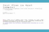 Test Plan (a Real Sample) - Software Testing Helpcdn.softwaretestinghelp.com/wp-content/qa/uploads/...  · Web viewTest Plan (a Real Sample) SoftwareTestingHelp.com Live Project