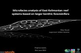 Reefal microfacies of East Kalimantan revealed by larger ...ipaeg.org/sites/ipaeg.org/files/novak_nta5.pdf · Vibor&Novak Supervisor:WillemRenema Microfacies*analysis*of*EastKalimantan*reef*