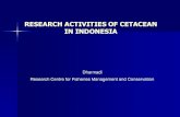 RESEARCH ACTIVITIES OF CETACEAN IN INDONESIAmap.seafdec.org/project/cetacean/cetacean-download/publication... · RESEARCH ACTIVITIES OF CETACEAN IN INDONESIA ... in Kalimantan Region