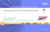 Managing CICS with Workload Manager - Confex · PDF fileManaging CICS with Workload Manager ... Tivoli* Tivoli Storage Manager TotalStorage* VSE/ESA ... © 2010 IBM Corporation WLM
