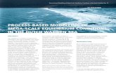 PRocess-BAseD MoDeLLInG oF MeGA-scALe · PDF filemany places along the coastlines in ... Process-based Modelling of Mega-Scale Equilibrium Conditions in the Dutch ... in late 2002
