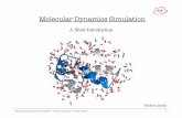 Molecular Dynamics Simulation - Vital-IT · PDF file- Van der Waals: ensemble of van der Waals sphere centered at each atom - Connolly: ensemble of contact points between probe and