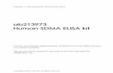 ab213973 Human SDMA ELISA kit - abcam.com Hu… · ab213973 Human SDMA D ELISA kit 2 Therefore, the concentration of the tracer-bound antibody is inverse proportional to the SDMA