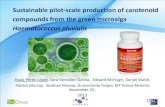 Haematococcus pluvialis -  · PDF fileWith more than 70% of ... Haematococcus pluvialis Green microalga ... Euro 4 2.305 tkm 800 Spray drying 82.70 kWh Ship 5.379 1400