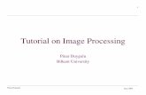 Tutorial on Image Processing - Bilkent Universityretina.cs.bilkent.edu.tr/papers/ImageProcessingTutorial.pdf · Pinar Duygulu June 2005 2 Reference Material Computer Vision – A