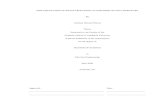 IMPLEMENTATION OF IMAGE PROCESSING ALGORITHMS · PDF fileIMPLEMENTATION OF IMAGE PROCESSING ALGORITHMS ON FPGA HARDWARE By Anthony Edward Nelson Thesis Submitted to the Faculty of
